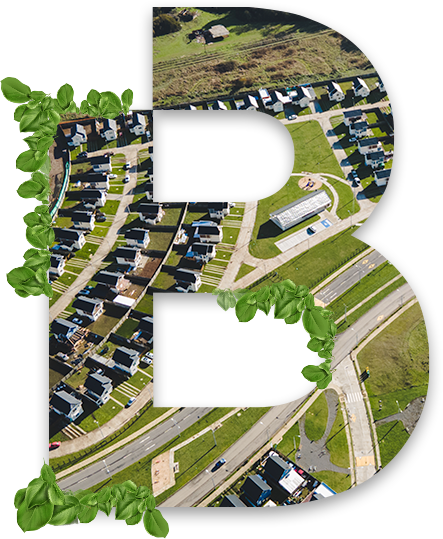 B